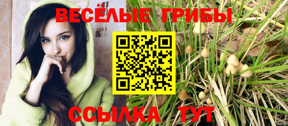 Дзержинский  Галлюциногенные грибы MAGIC MUSHROOMS  Псилоцибиновые грибы мицелий  Вход с VPN 